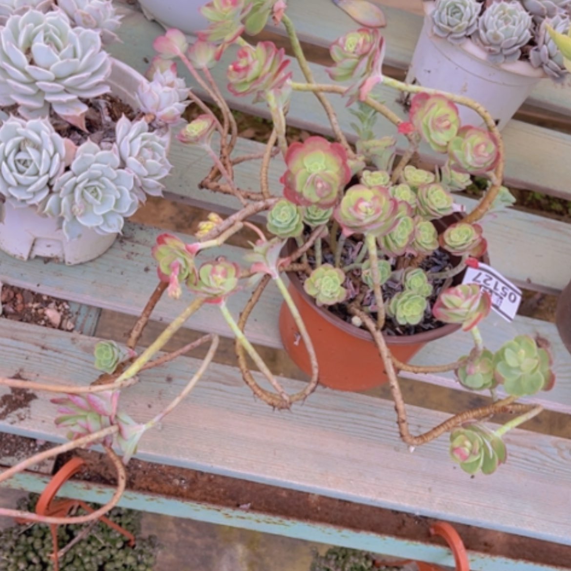 【闪购商品】原液05127