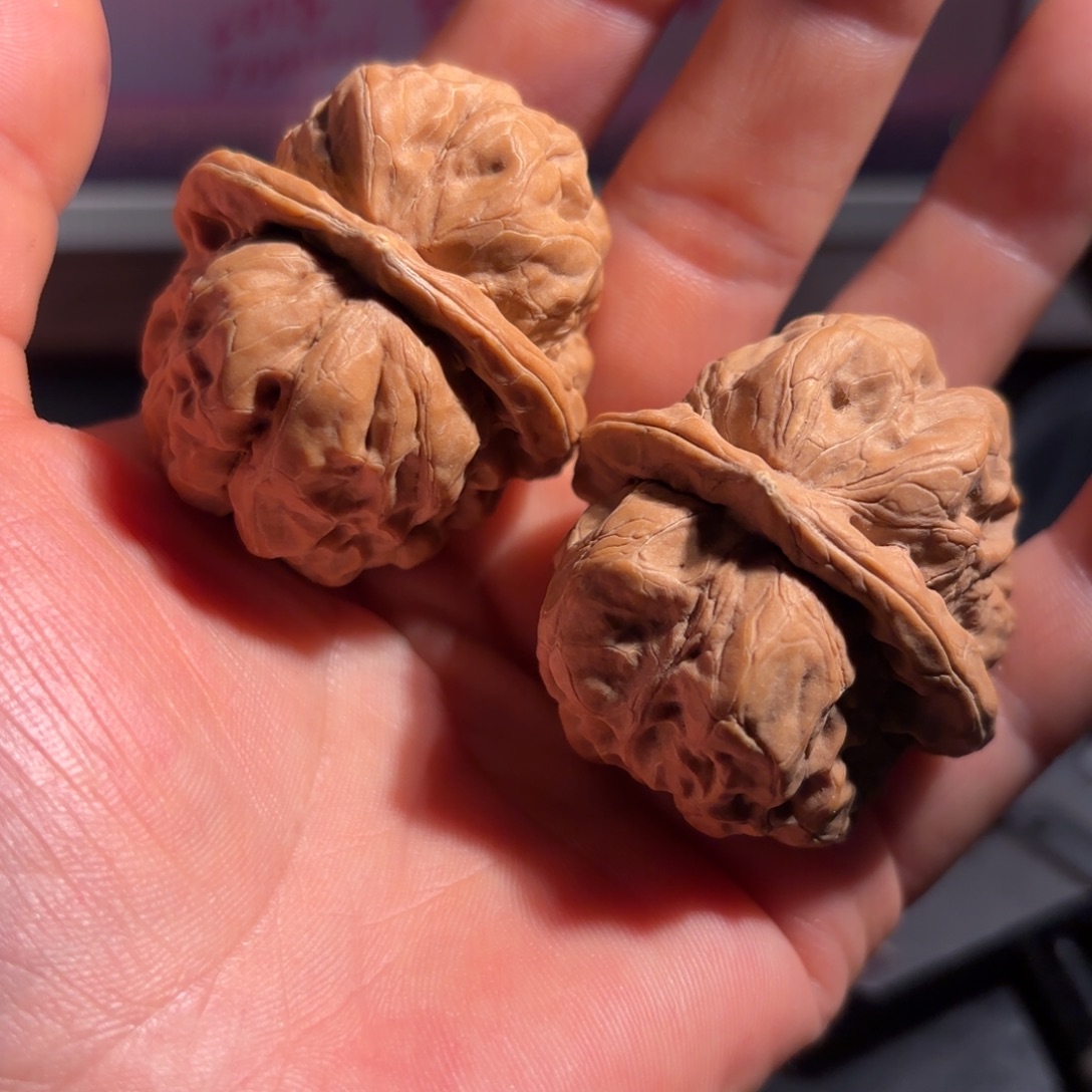 凯***猪核桃蜡皮39尺蛙饼