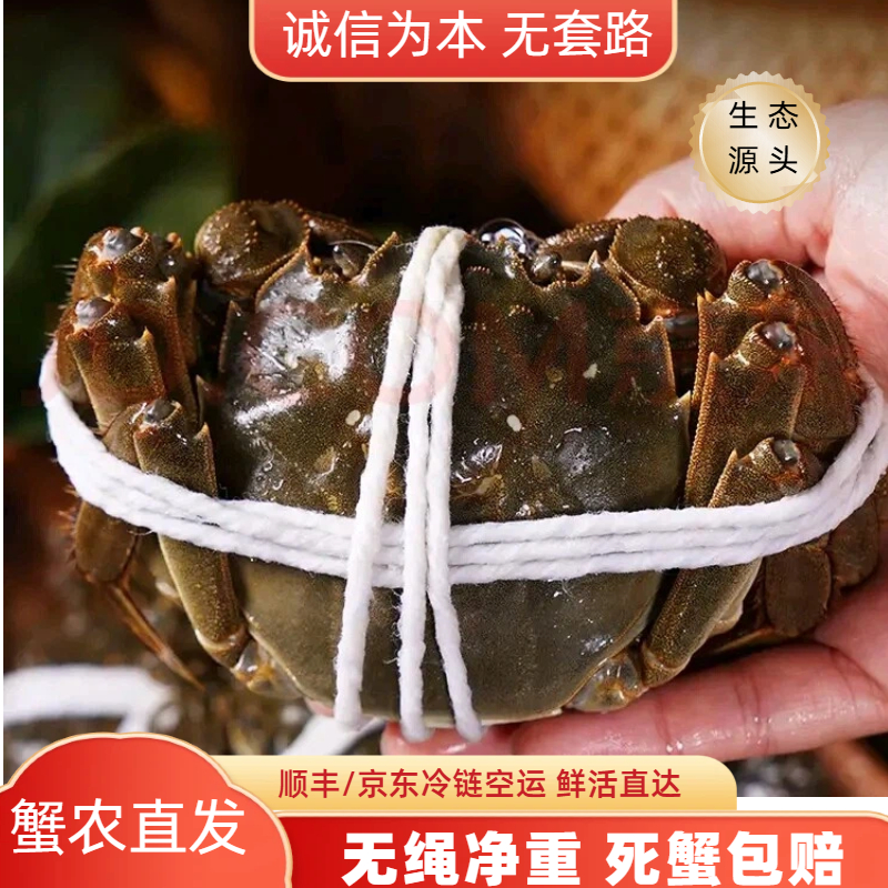 【活蟹】洪泽湖精品大闸蟹全公蟹净重2-4斤/每只3.5两左右5-14只