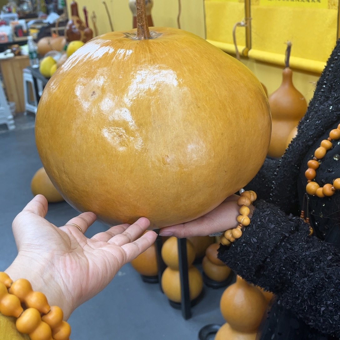 杨***童发发发发发发发发发发发发发发发