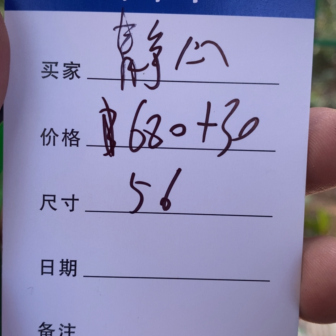 ～***～非金属所见皆所得