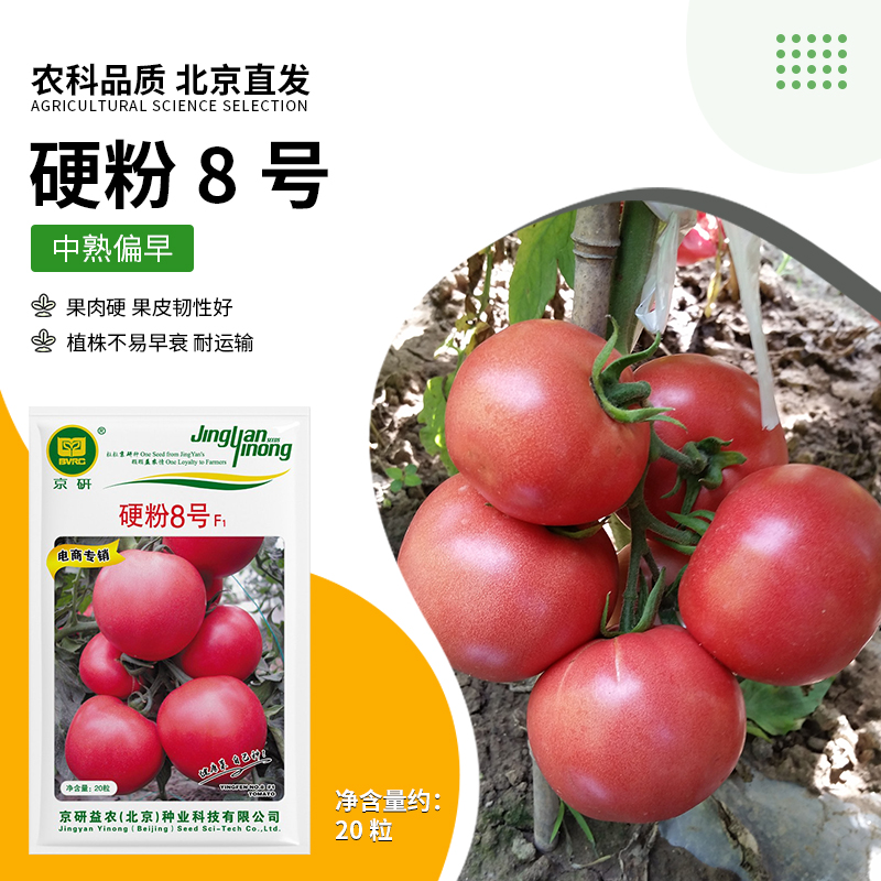 【农科院】沙瓤番茄种子春季露地大西红柿种子粉红大果阳台盆栽简单