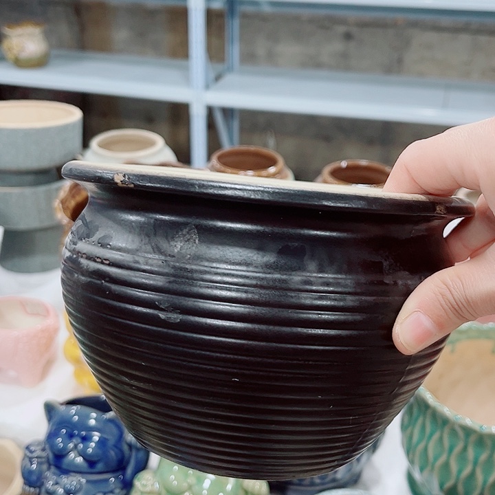 多肉花盆满10元包邮