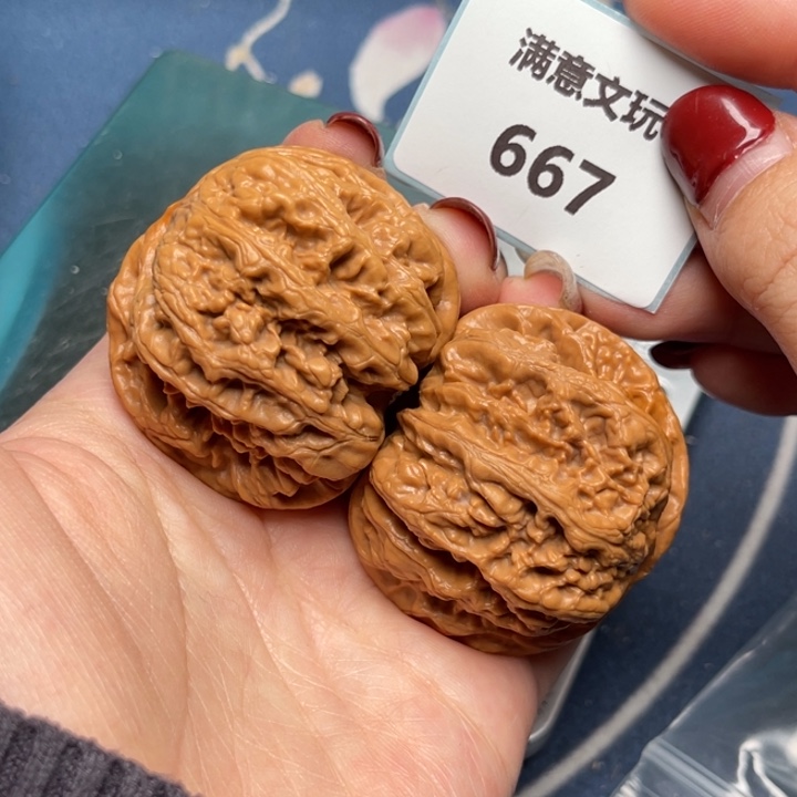 文玩核桃把件粗筋45.667