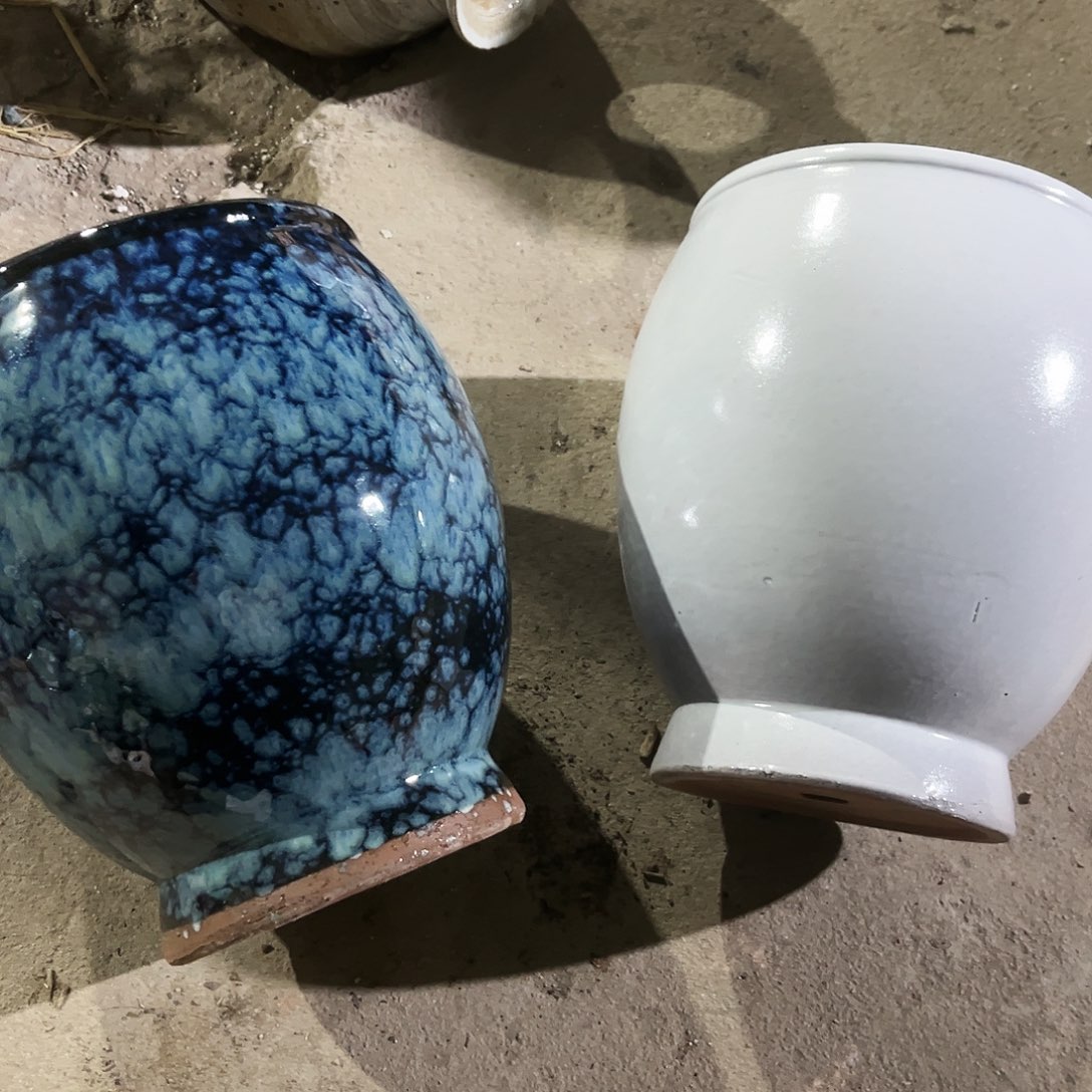 紫砂花盆花盆里的小