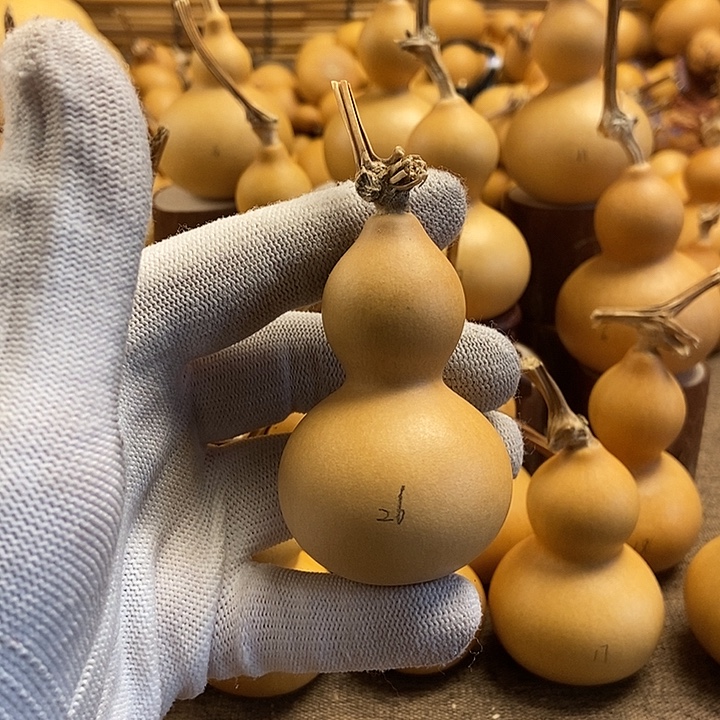 文玩葫芦 完美主义者 慎拍26