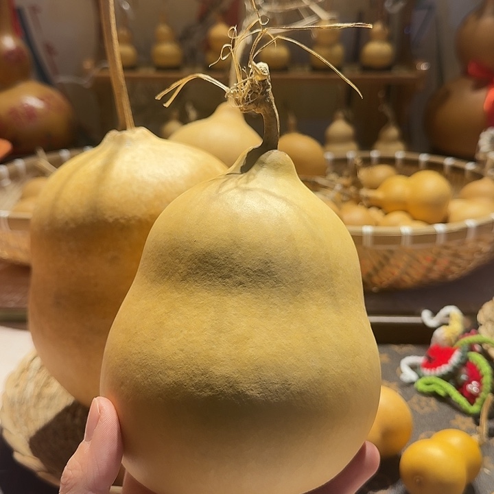 万**✨哈哈哈哈哈