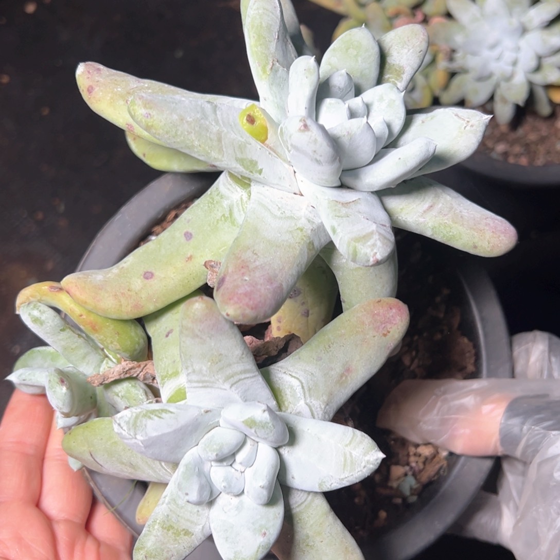 7111哈哈哈哈哈哈哈哈