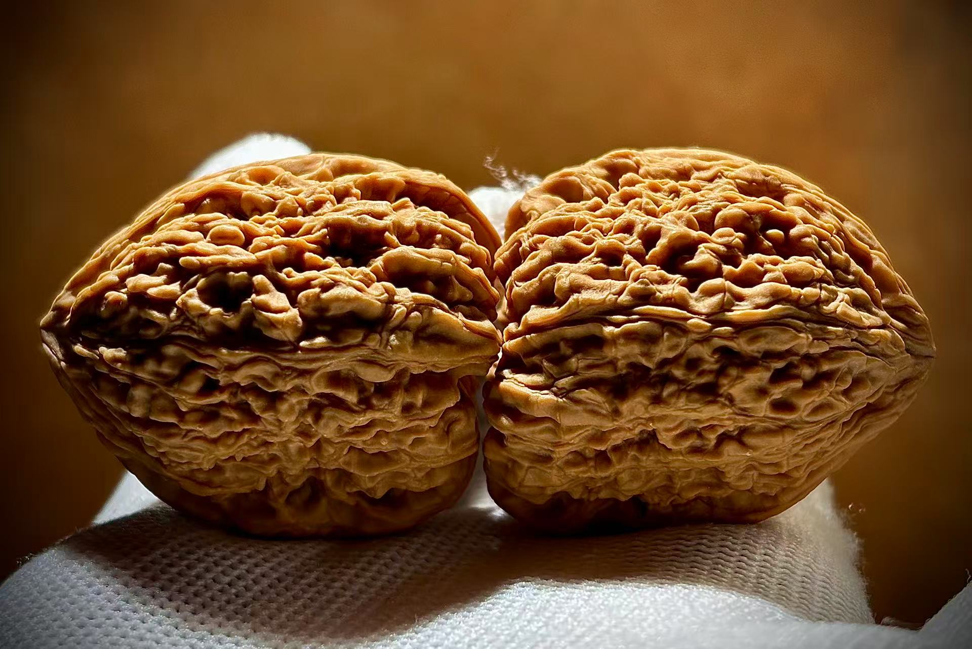 逐鹿南疆石文玩核桃