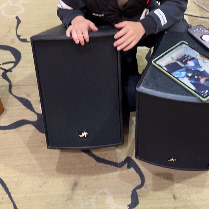 8新嘉辉10寸一对 不包邮