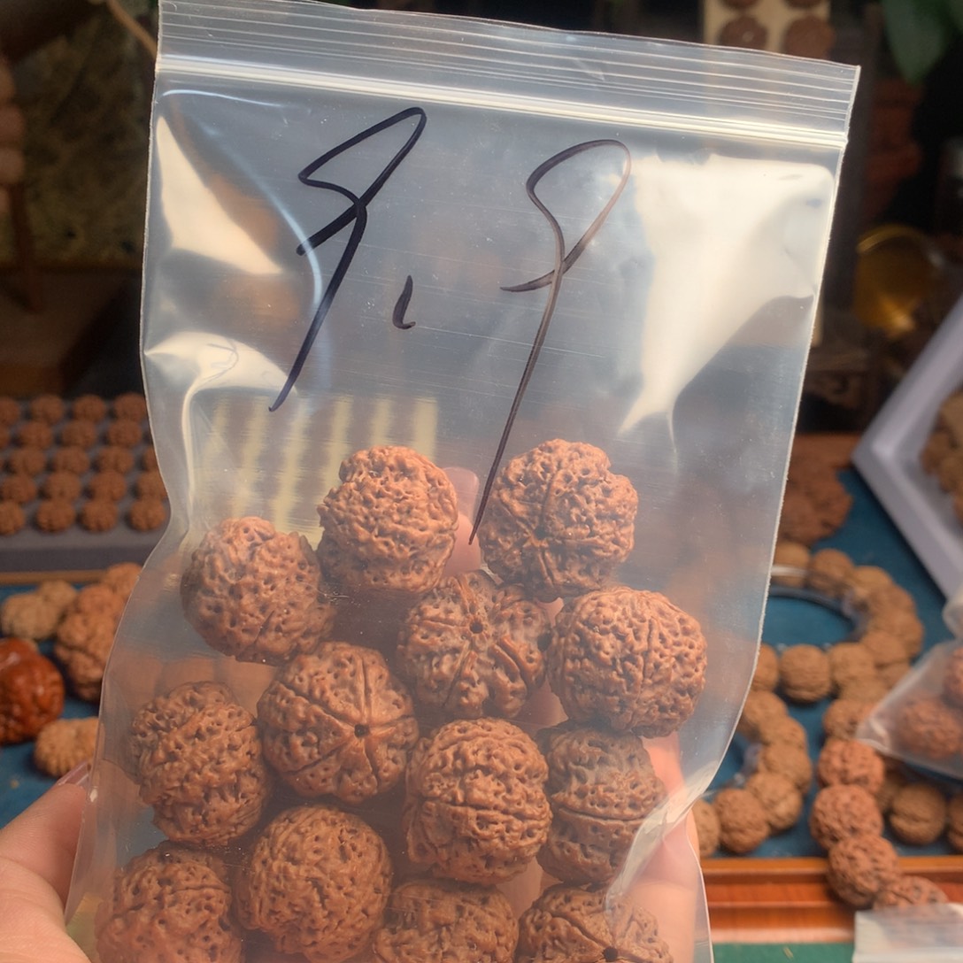 金刚菩提手串福利