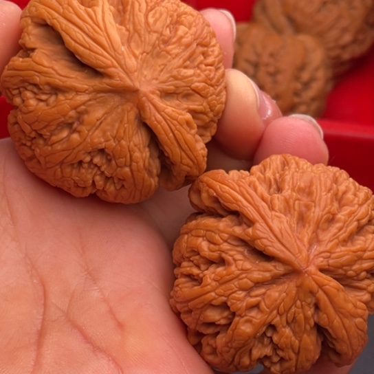 文玩核桃把件秦岭山脉核桃