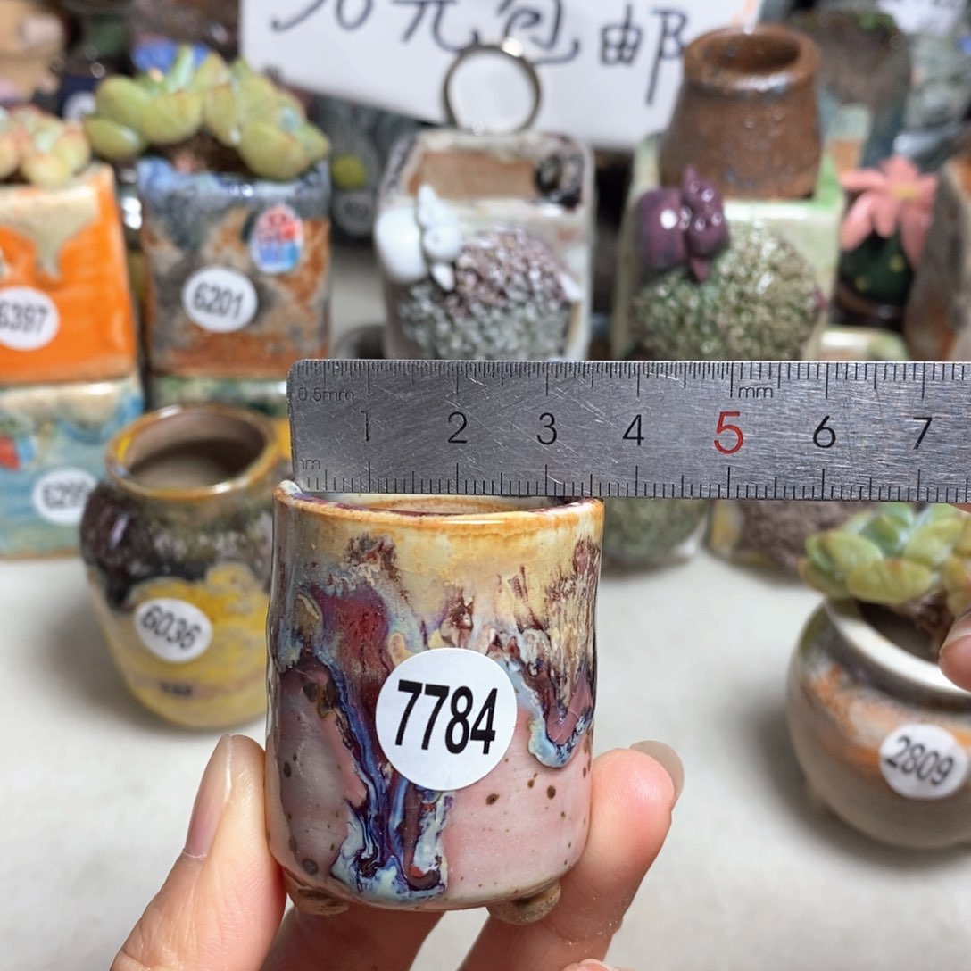 拍5送一个小礼物