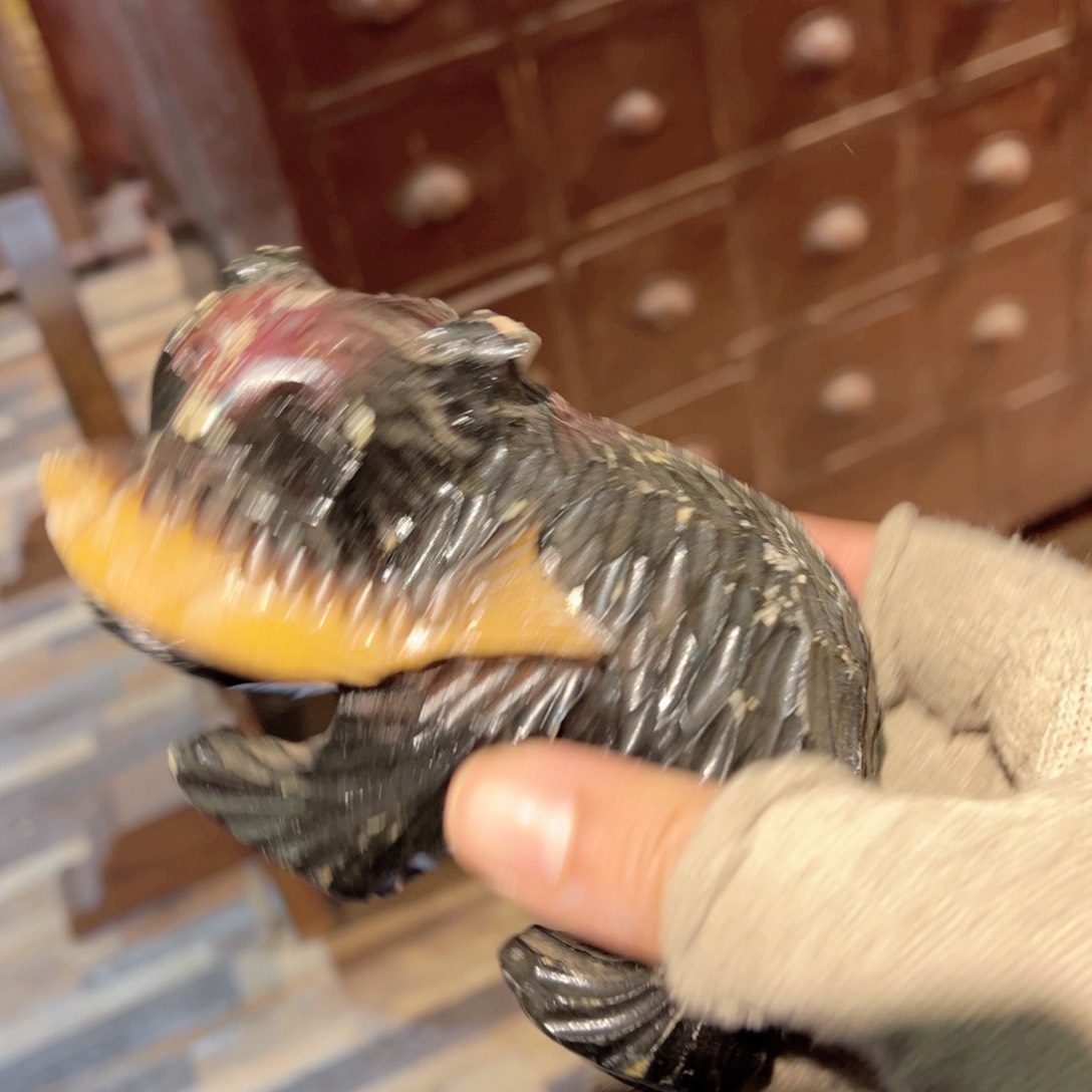 瓷片这么好用吗干干净净