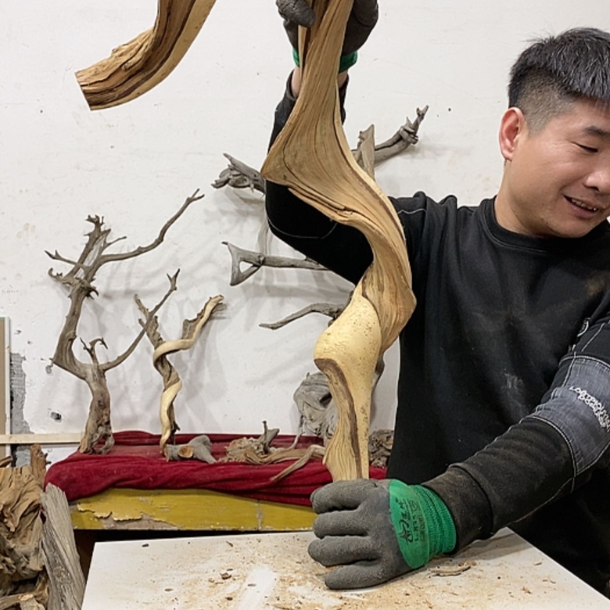 【闪购商品】柏木柏**通我们都是好孩子