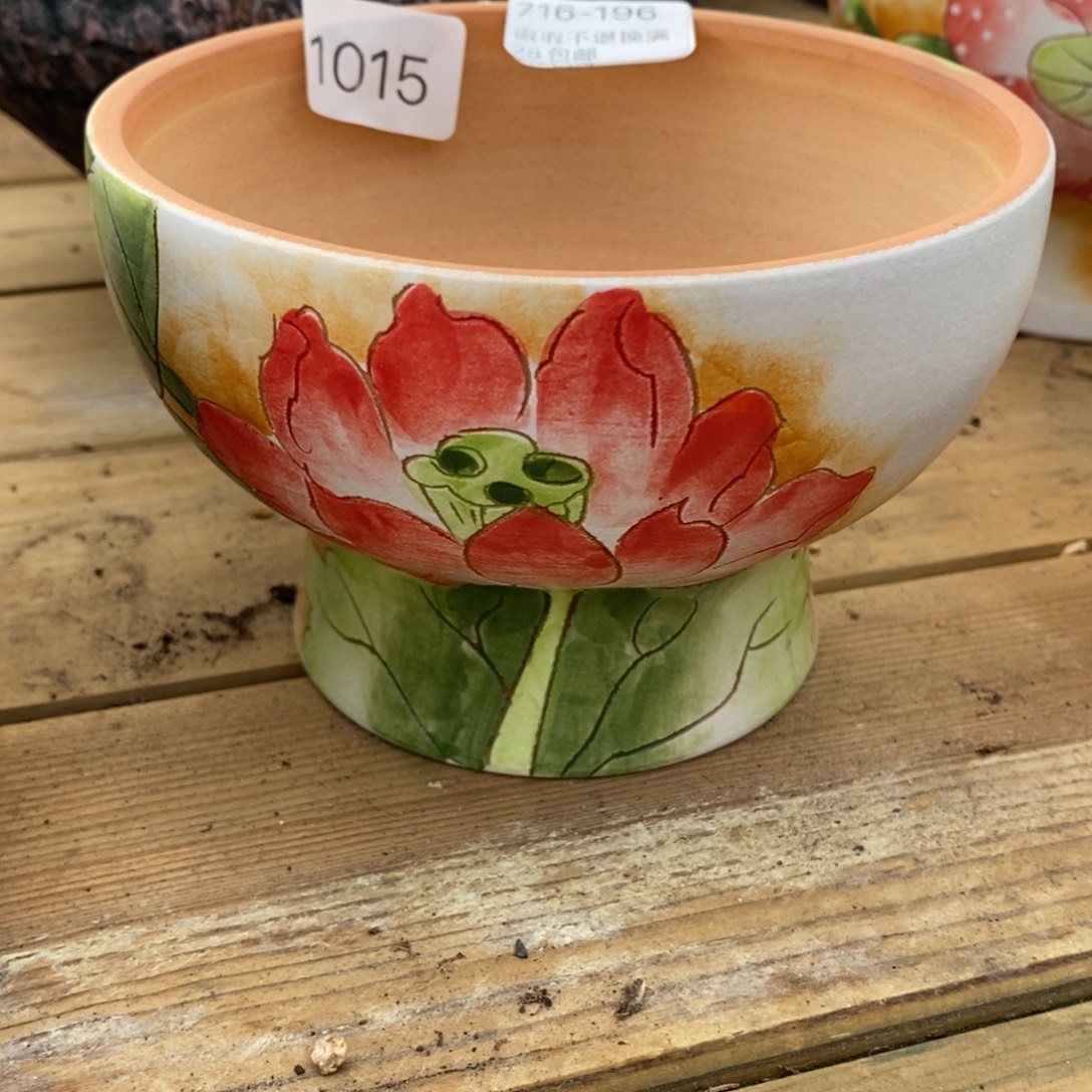 196号多肉盆口径12