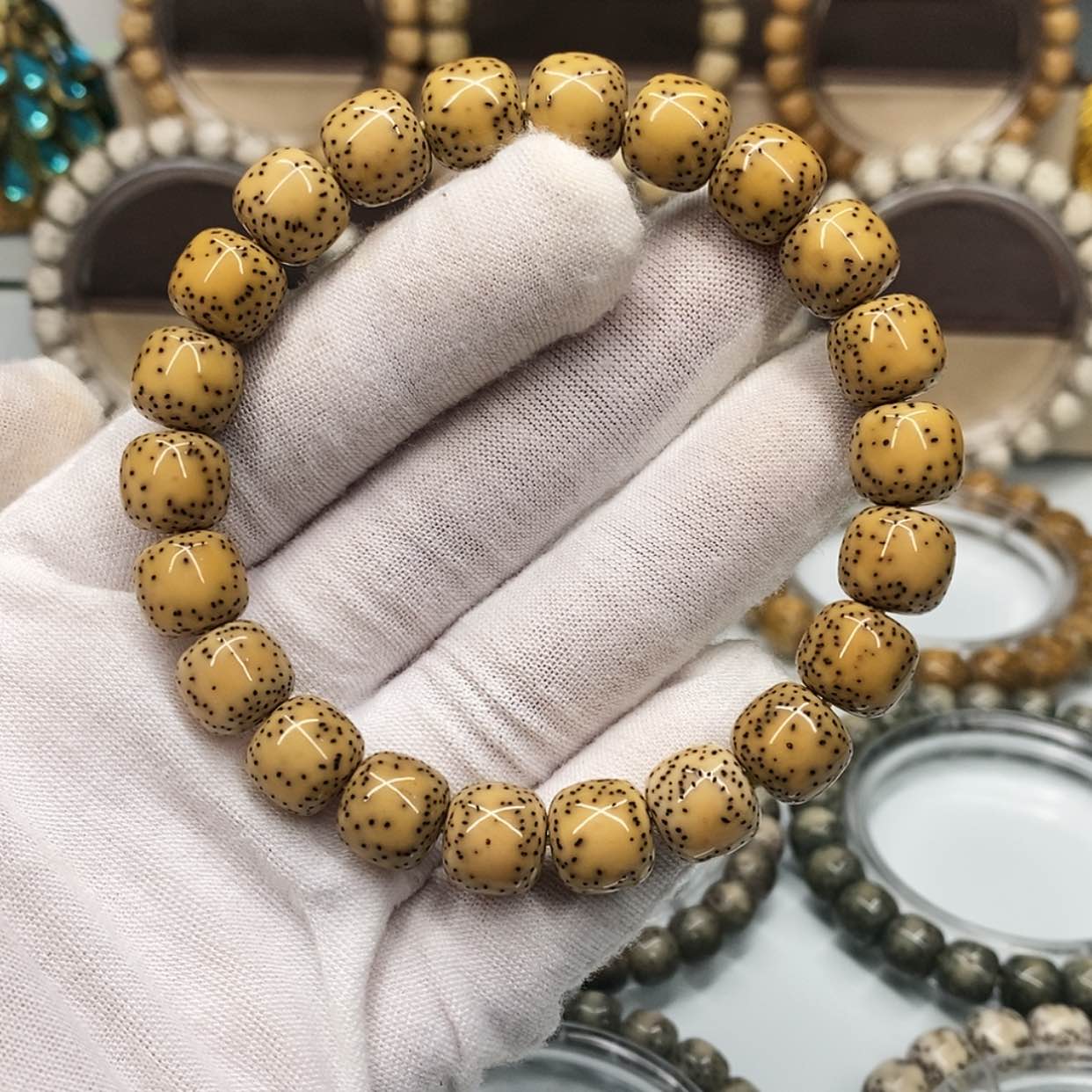 【闪购商品】星月菩提手串10×11原生态同枝古瓷白月朗星稀