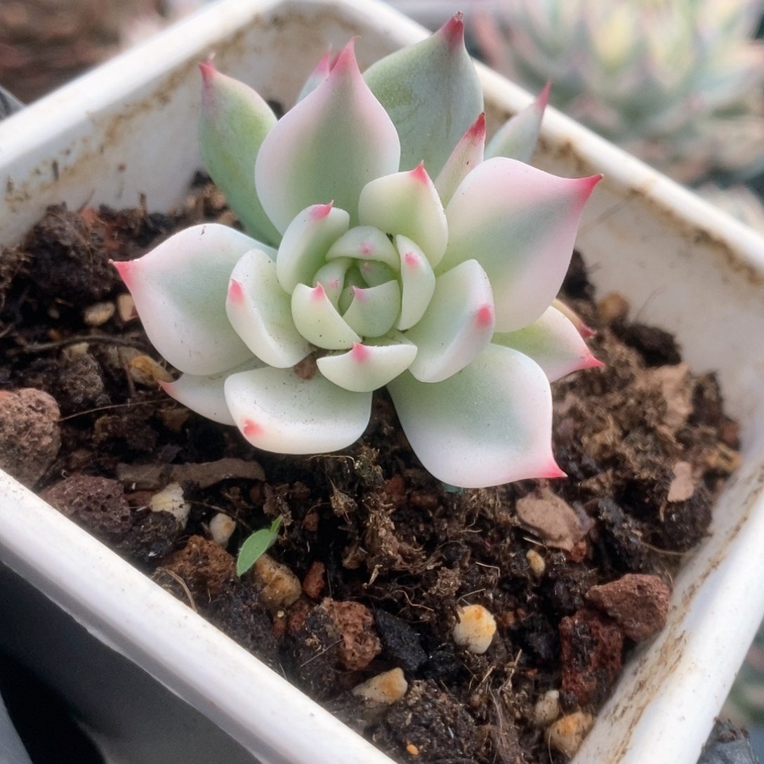 170锦锦锦锦锦锦锦锦