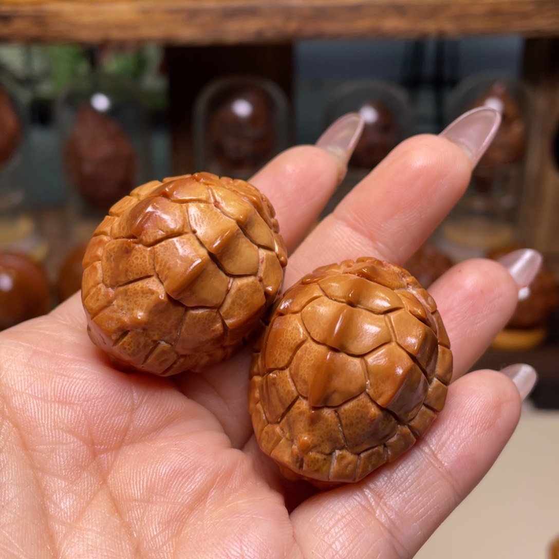 佛螺菩提吊坠福利富甲一对