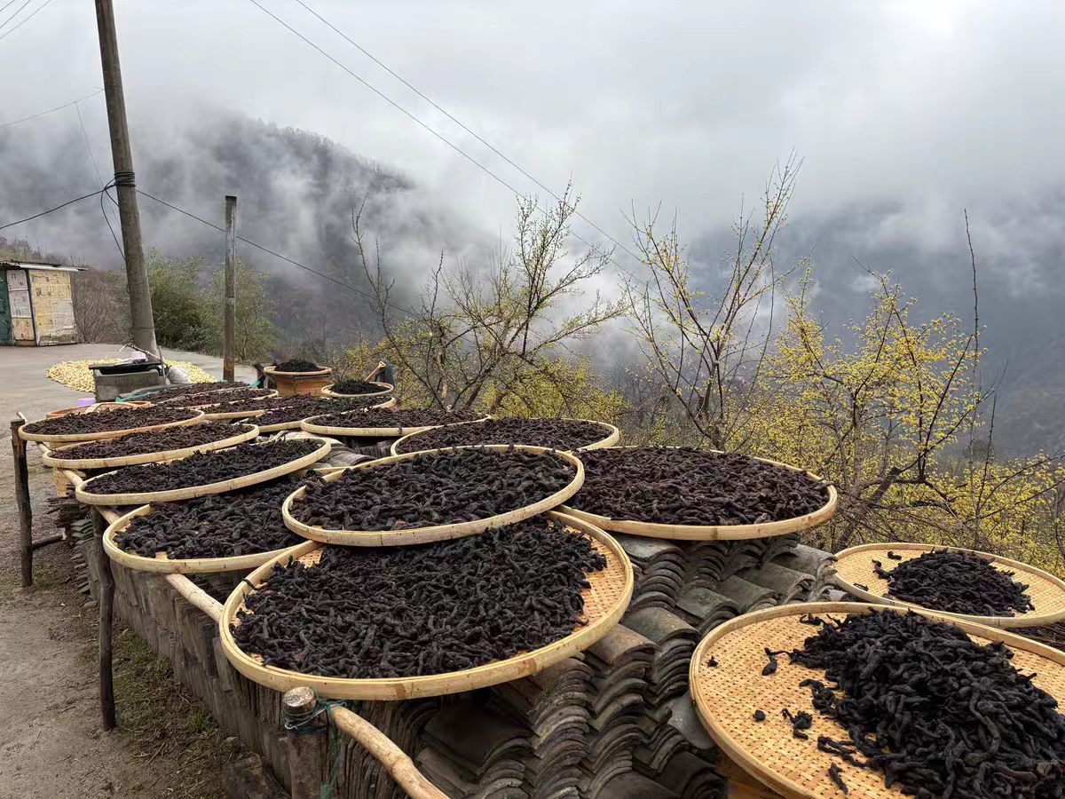 大山好物无添加九蒸九晒（仙人余粮）