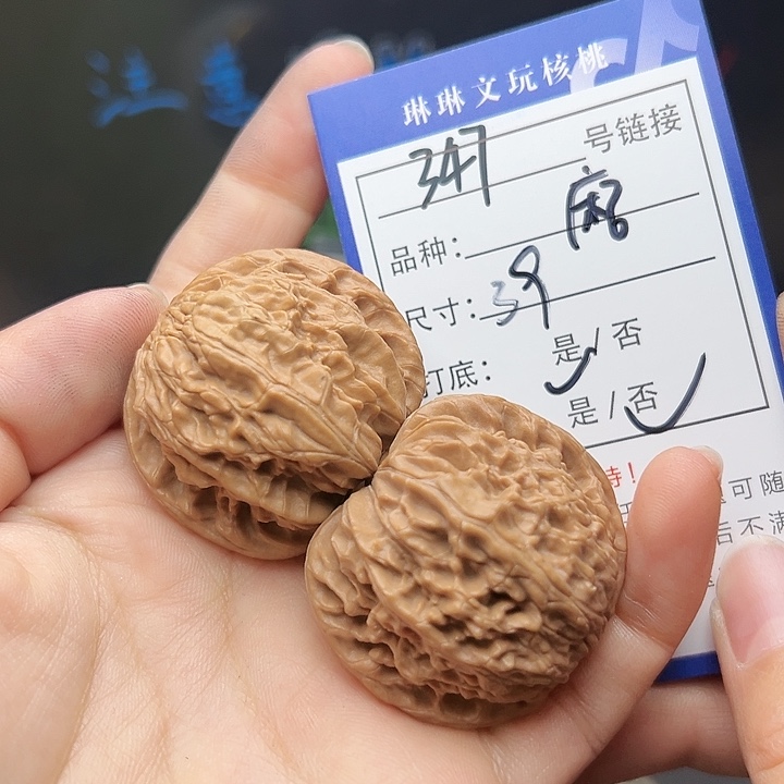 文玩核桃吊坠核桃树347