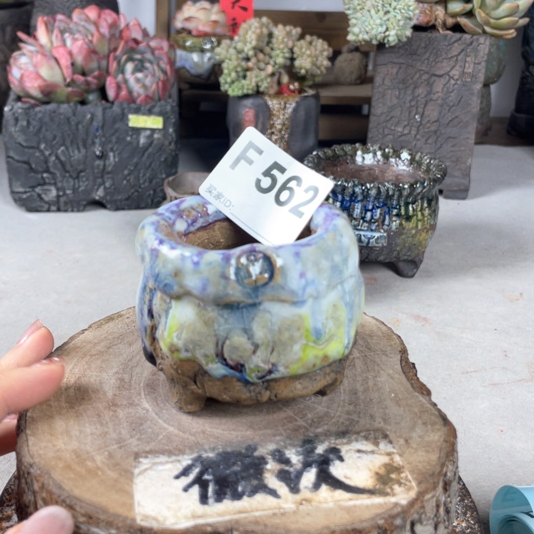 紫砂花盆开播福利陶瓷花盆