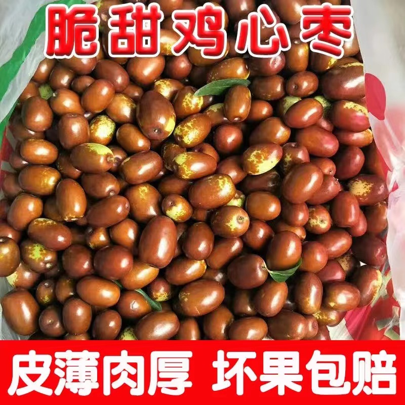 当天采摘新鲜鸡心枣山西特产生吃脆甜蒸吃软糯果肉饱满