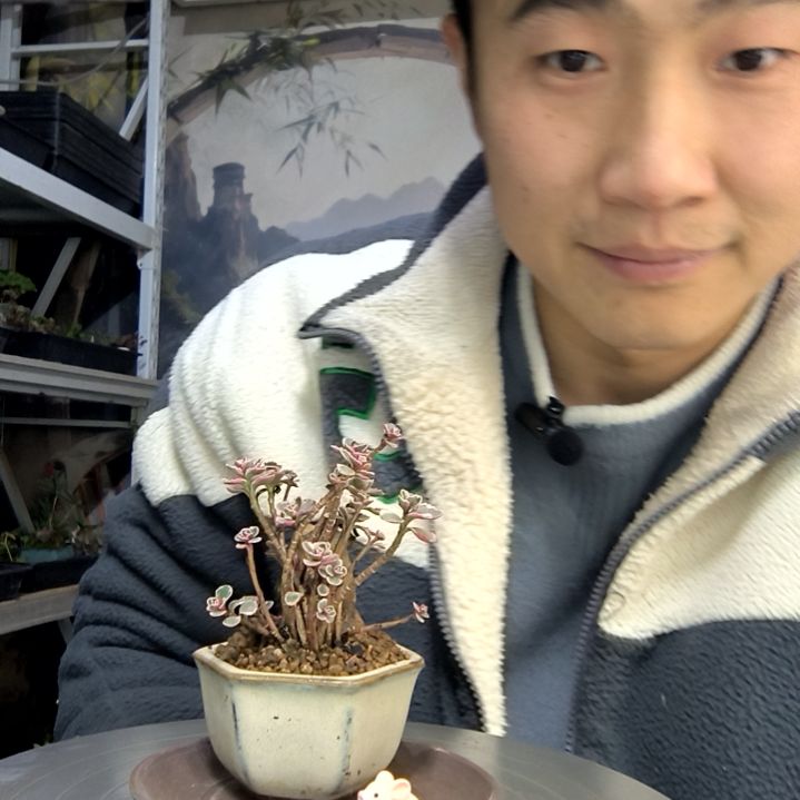 蚂***～中青园艺一物一拍花406