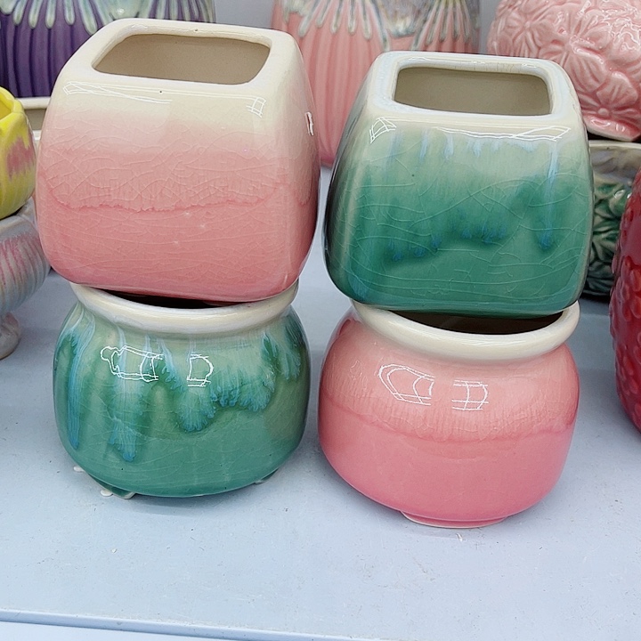 多肉录制陶瓷花盆