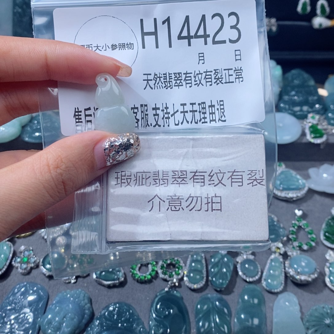 翡翠未镶嵌颈饰吊坠41