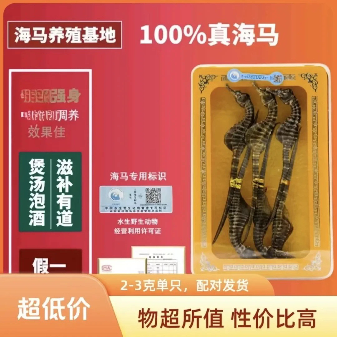【顺丰直发】正品足干正宗膨腹海马干货公母滋补养殖场直发煲汤泡酒