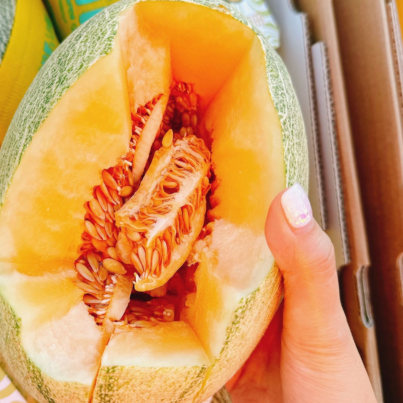 海南小蜜哈密瓜一个 