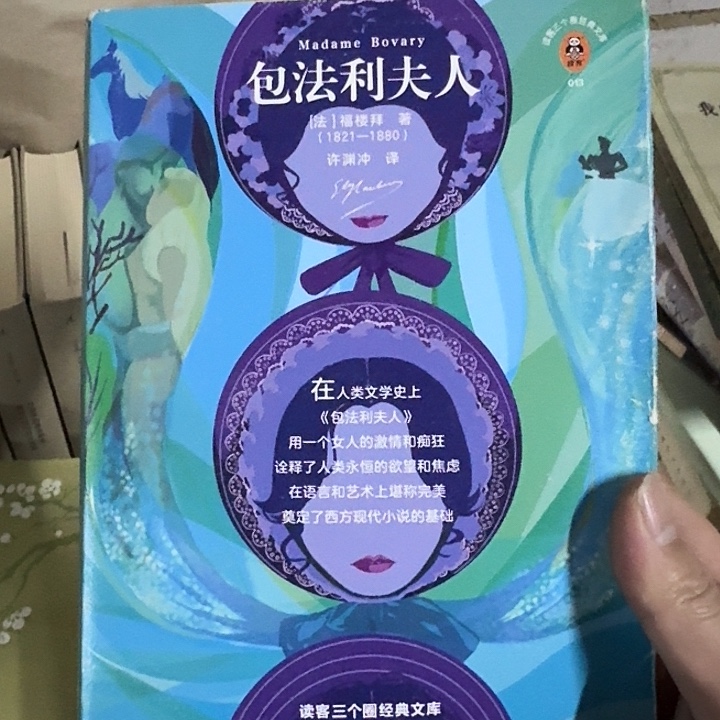 包法利夫人正版二手