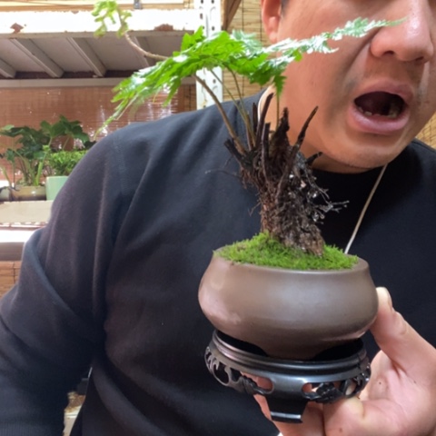 红陶用****8一物一拍所见即所得2