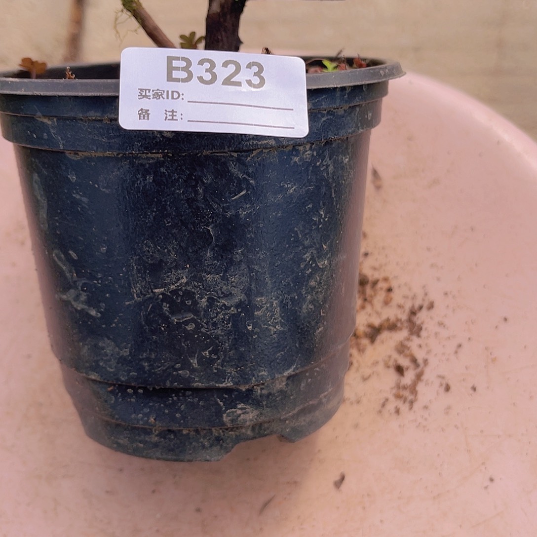 直播时间一直一个