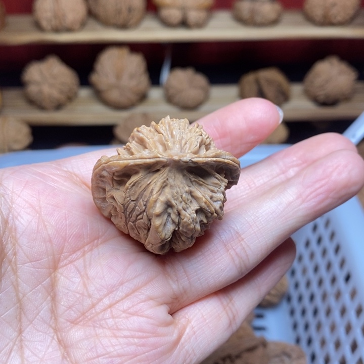 蚂***蚁把件文玩核桃文玩