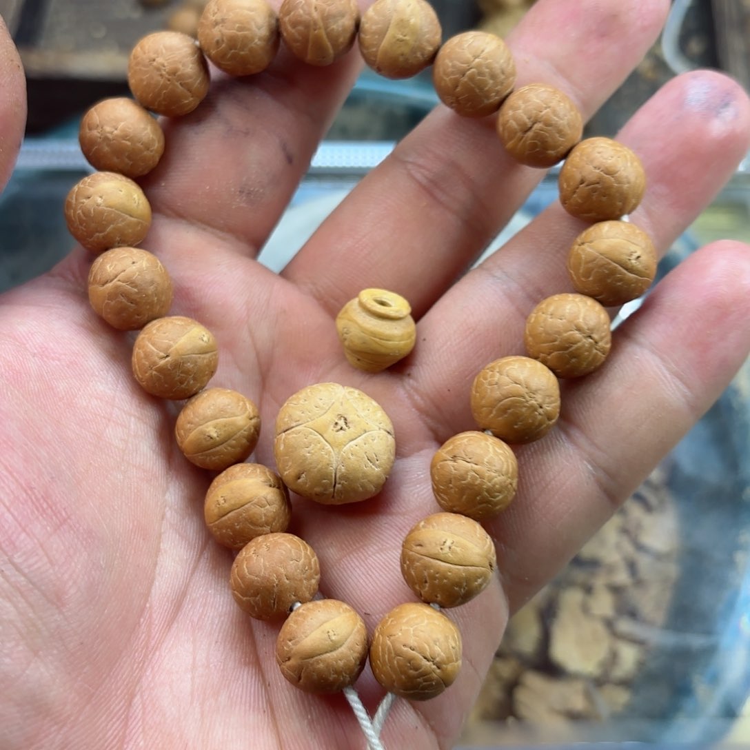 凤眼菩提吊坠摩*货头小12凤眼