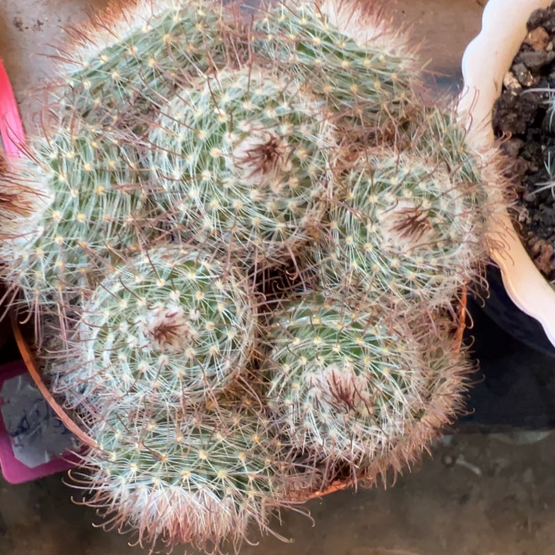 嘟****哈哈哈哈哈哈哈哈哈