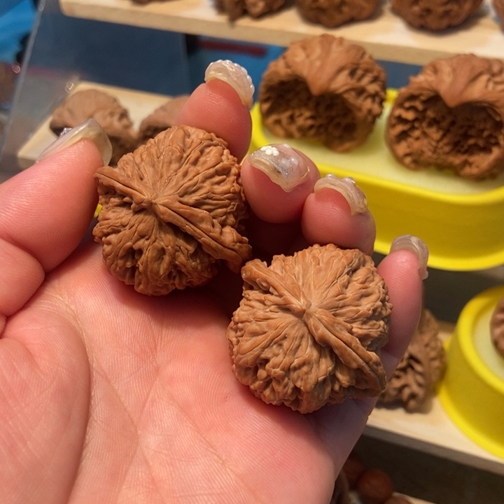 不退不换白狮子福利款