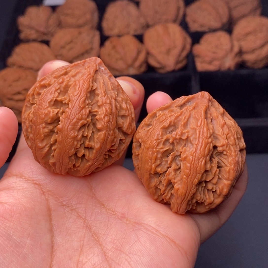 秦岭野生文玩核桃