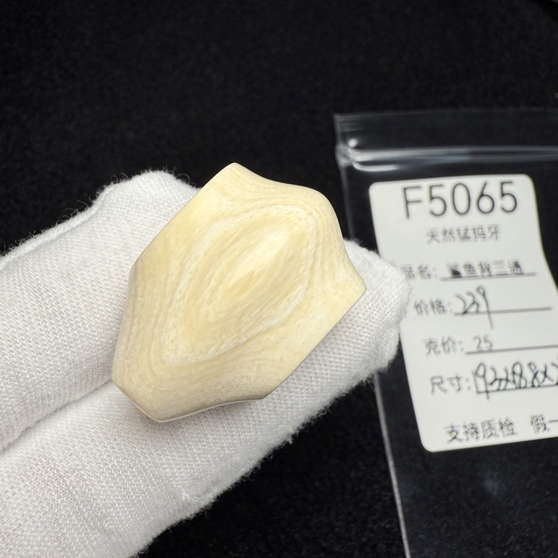 F5065猛犸象牙鲨鱼背一体三通冰料果冻料19.3*18.8*29mm