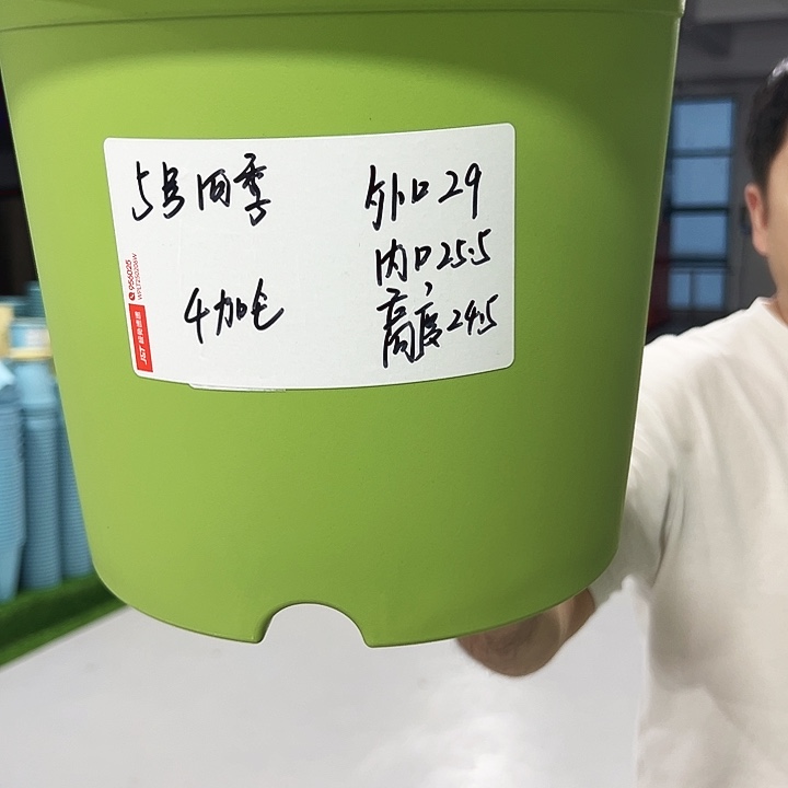 特价5四季口29高24.5果绿无托5只