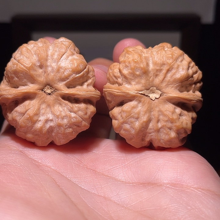 元***手串/手链核桃008