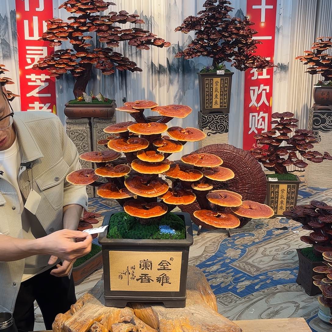 无花朵88888888888