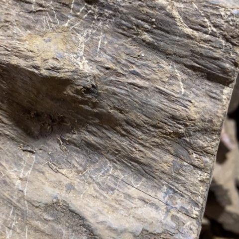 泡***泡贡木把件定制12345687999