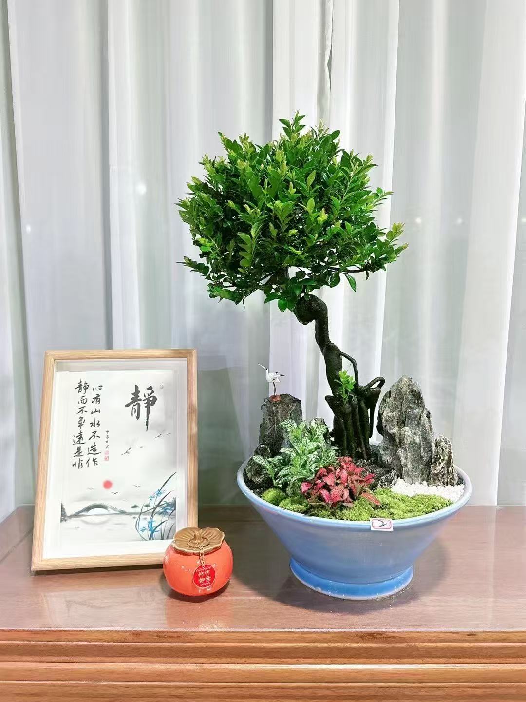 胡椒木，罗汉松山水假山造型盆景室内客厅办公室茶室绿植盆栽