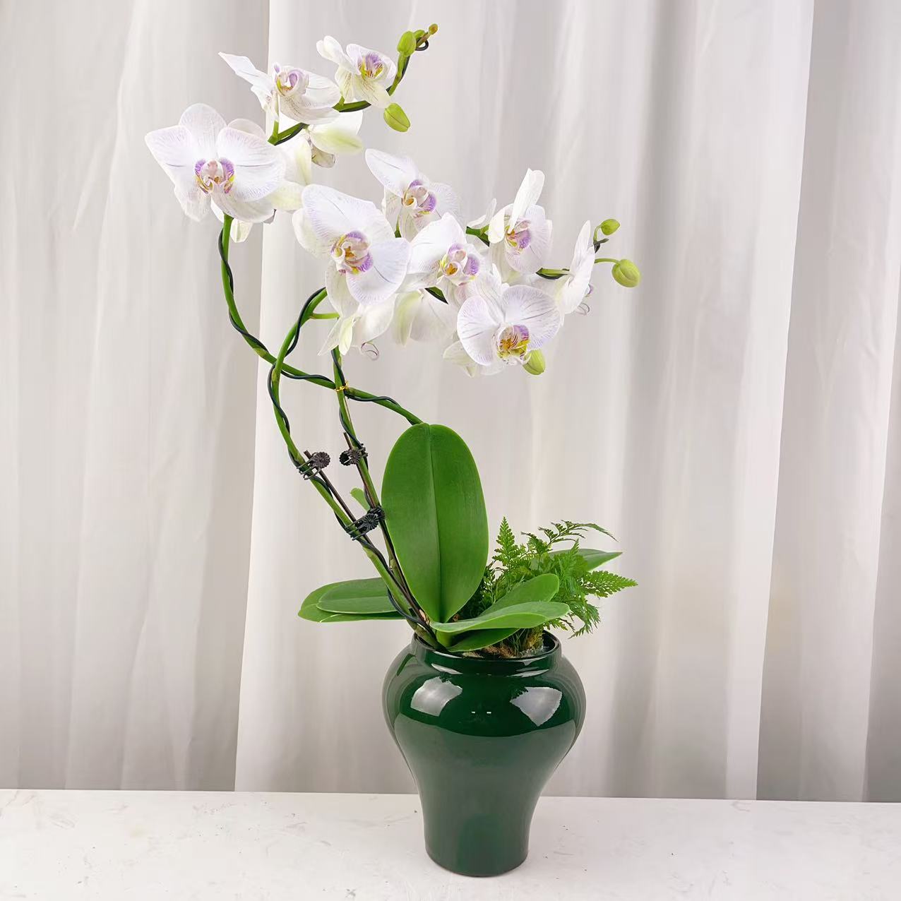 桦艺优选【真爱】欧品蝴蝶兰花卉高雅高级艺术盆栽组盆系列