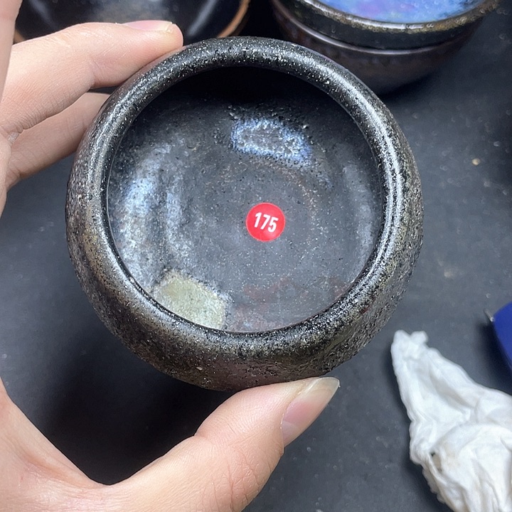 茶宠175)$$$$$$$$$$$