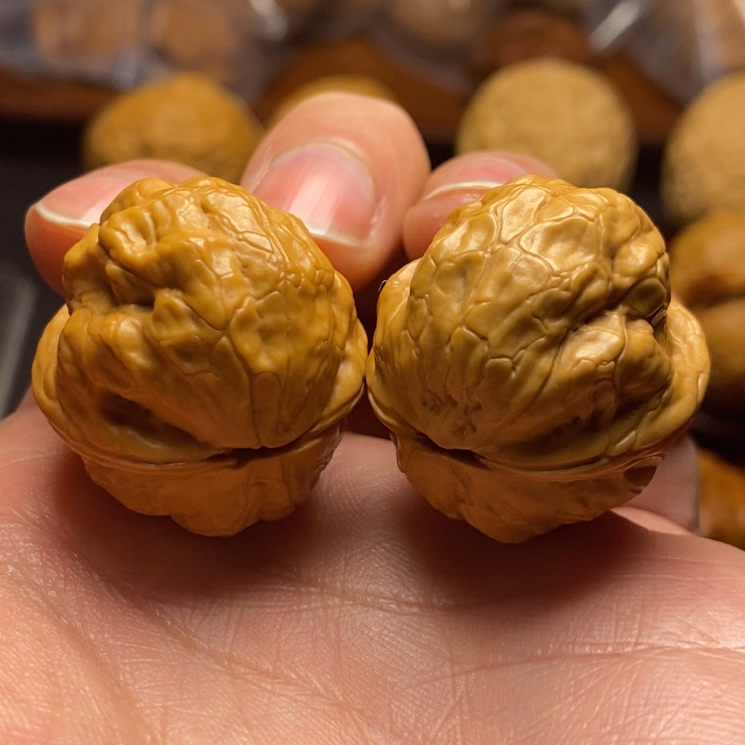 文玩核桃把件29尺铁鹦鹉