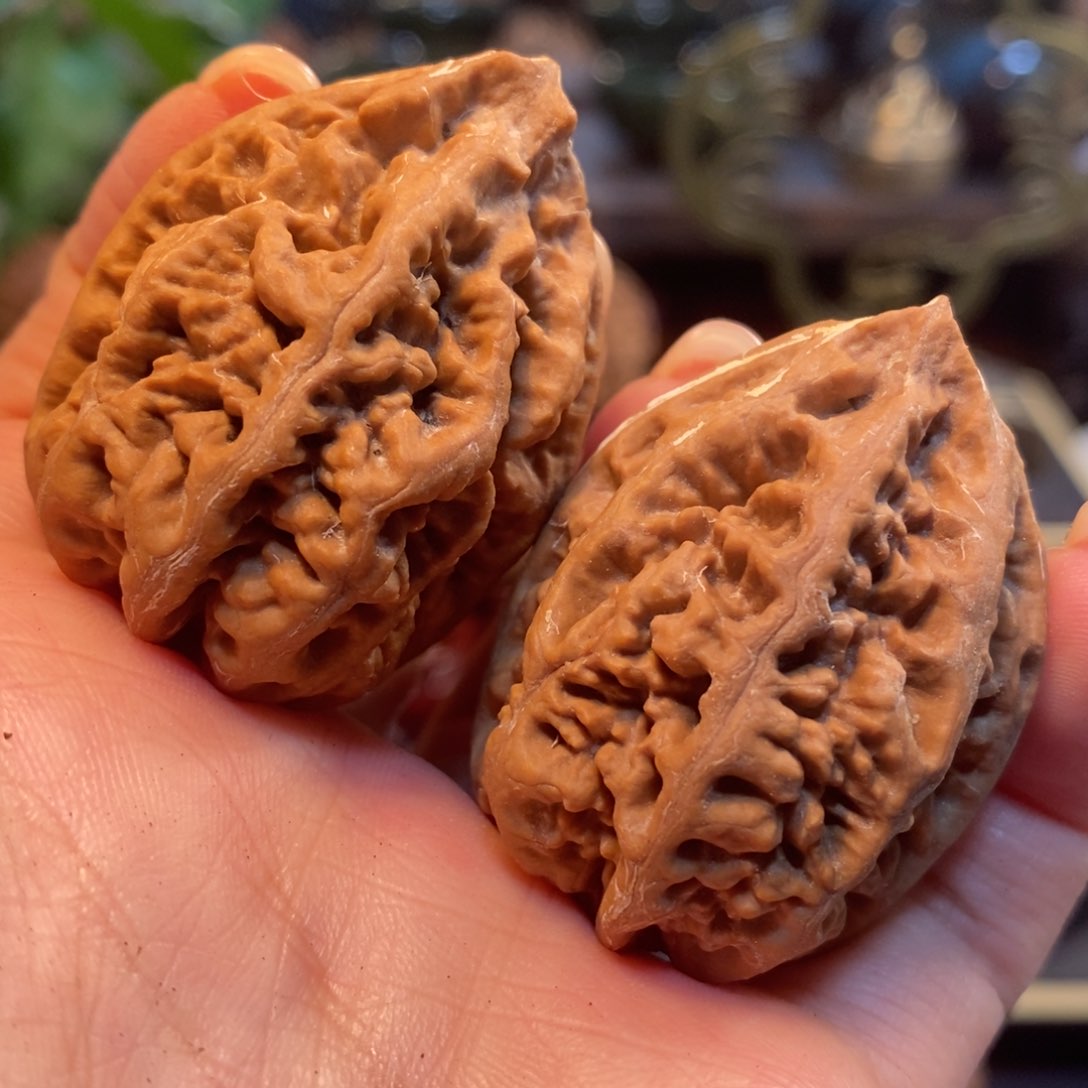 文玩核桃吊坠老树珊瑚纹36